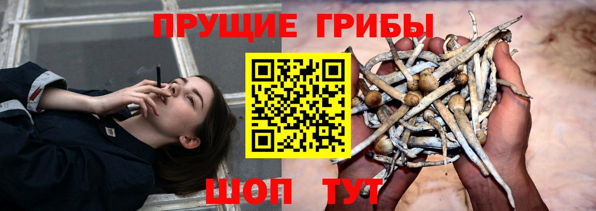 Псилоцибиновые грибы ЛСД  Вход с VPN  Таганрог 